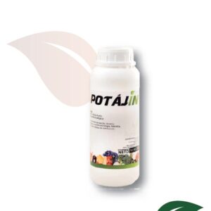 Potajin